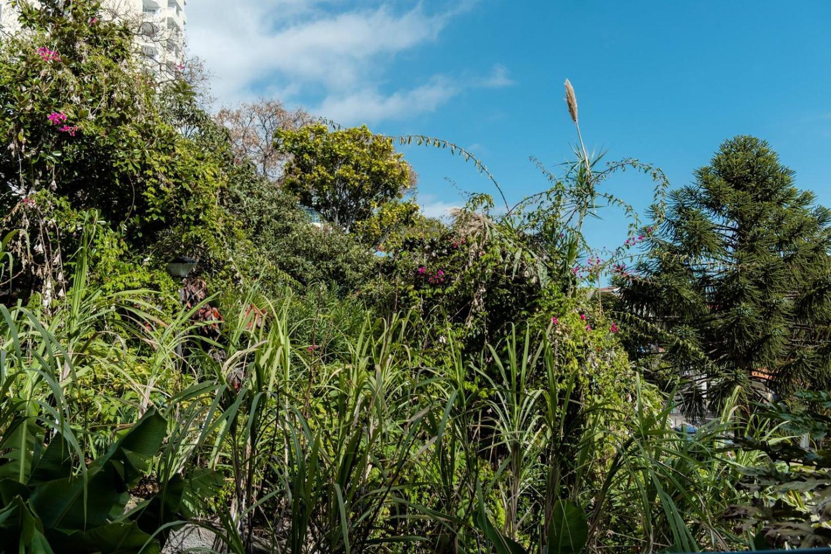 Guestready - Lido View Near The Beach Apartment Funchal  Ngoại thất bức ảnh
